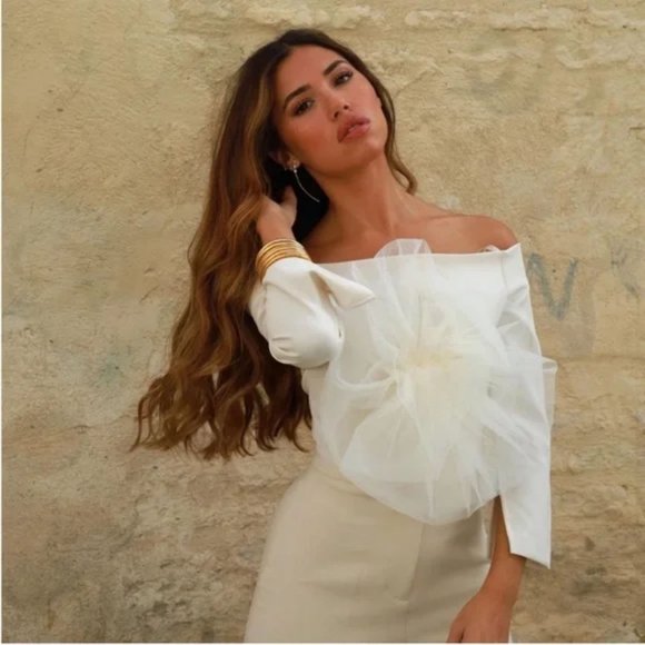 ZARA ORGANZA FLORAL TULLE TOP - Picture 3 of 3